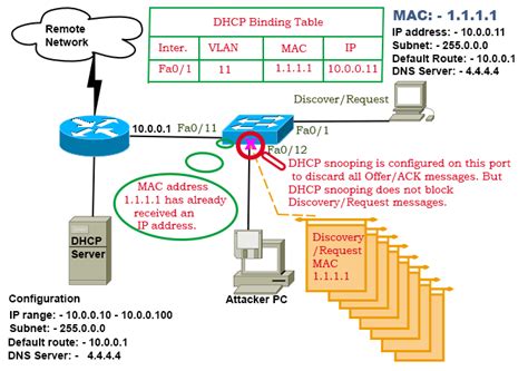 display dhcp-snooping binding database